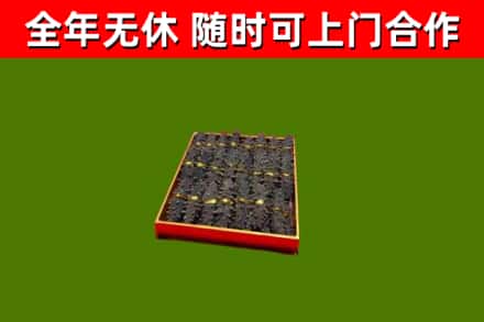 瓮安县回收海参